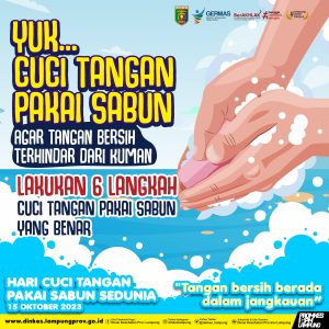 6 LANGKAH CTPS - Dinas Kesehatan Provinsi Lampung