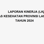 Laporan Kinerja (LKJ) Dinas Kesehatan Provinsi Lampung Tahun 2024