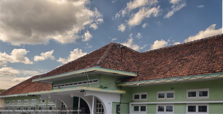 Profil Dinas Kesehatan